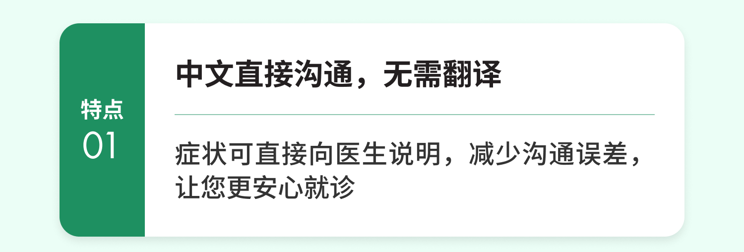 ️中文直接沟通，无需翻译